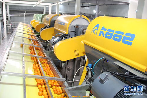 鄉(xiāng)味重慶老字號(hào)牛肉干的逆生長(zhǎng) 電桿用滾焊機(jī)的新生